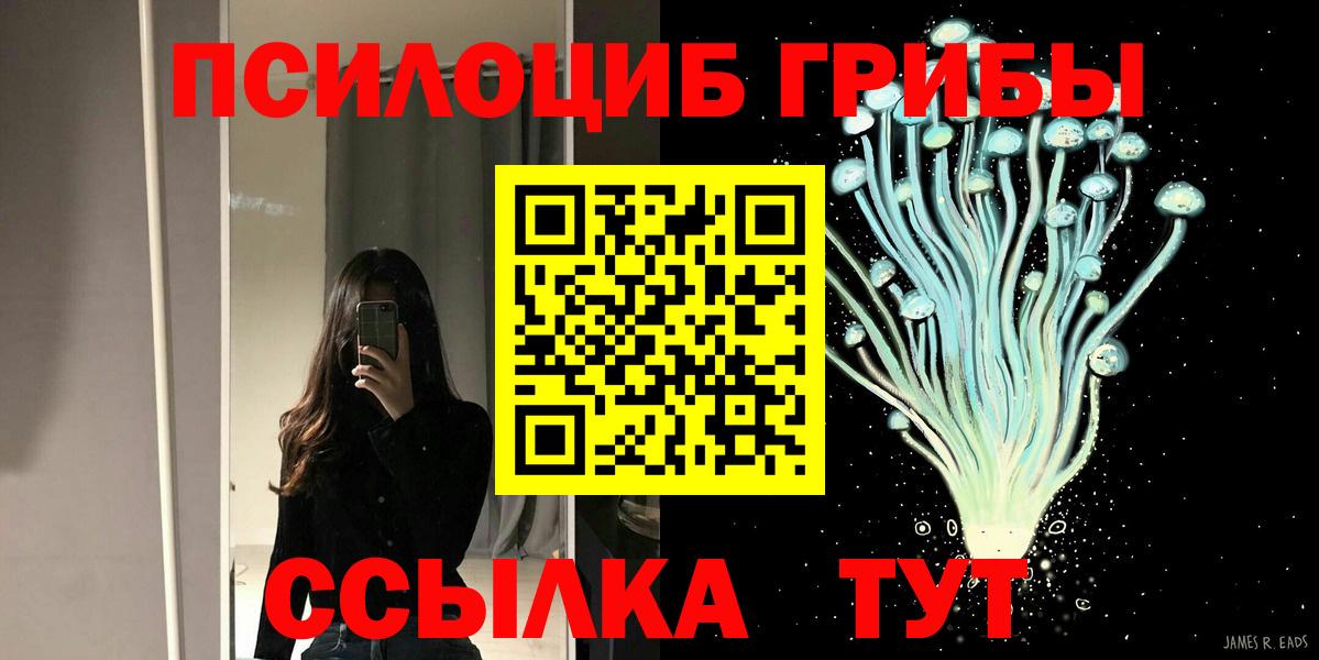 Павлово  купить   Вход с VPN  Галлюциногенные грибы MAGIC MUSHROOMS 